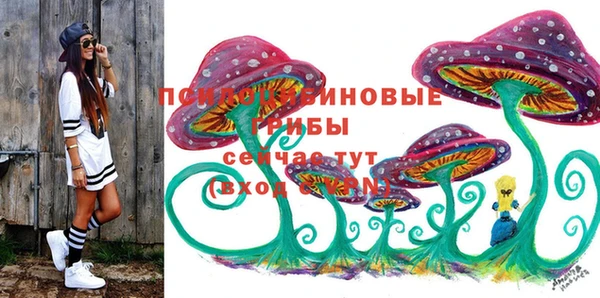дурь Сосновый Бор